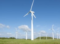 referente_renovables_med