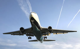 2010-06-09-escudo_hielo_med