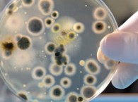 2010-07-09-dispositivo_ik4_med