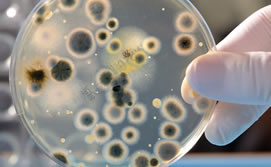 2010-07-09-dispositivo_ik4_med