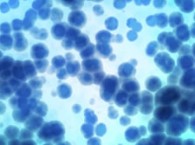 2010-07-29-biosensor_med