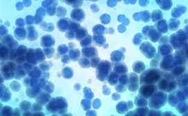 2010-07-29-biosensor_med