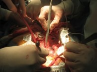 2010-09-03-proyecto_carla_med