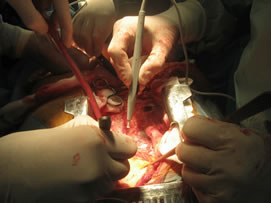 2010-09-03-proyecto_carla_med