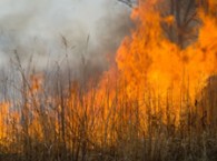 2010-09-17-tecnologia_contra_incendios_med