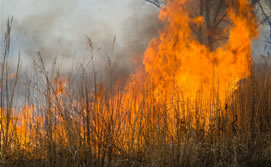 2010-09-17-tecnologia_contra_incendios_med