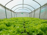 2010-09-20-invernaderos_mediodia_med