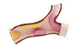 2010-11-4-organos_artificiales_med