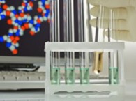 2010-11-15_videoteca_proteinas_med