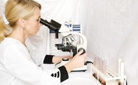 2010-11-23_fedit_med