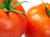 2010-12-28-tomate_plastico_med