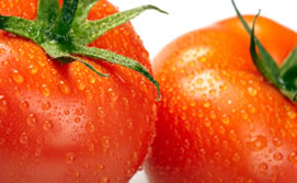 2010-12-28-tomate_plastico_med