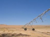 irrigation_egypt_preview