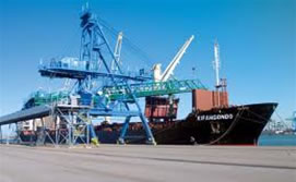 2011-03-07-taimweser_med