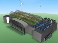 2011-03-24-nuevos_invernaderos_med