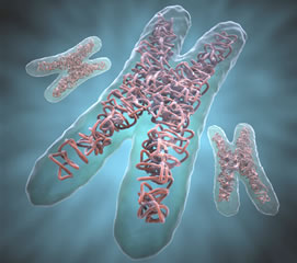 2011-04-01-deteccion_genetica_med