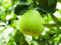 2011-05-12-desinfeccion_ultravioleta_med