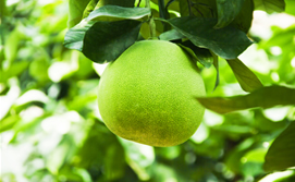 2011-05-12-desinfeccion_ultravioleta_med